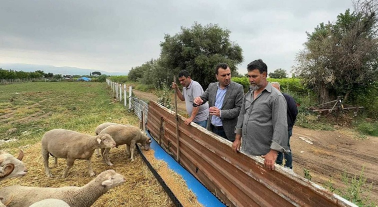 Kurbanlık Satamayan Besici Kartla Satışa Başladı